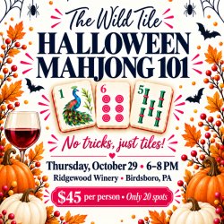 Mahjong 101 - Beginner Mahjong Lesson hosted by Courtney from The Wild Tile