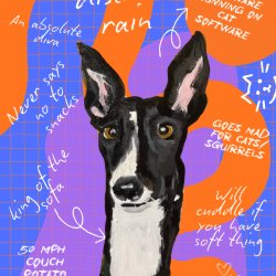 Custom Pet Portraits