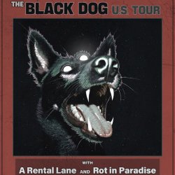 Shadow Work (Denver), A Rental Lane, Rot in Paradise