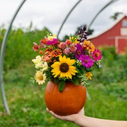 Pumpkins & Petals: A Fall Floral Arranging Class