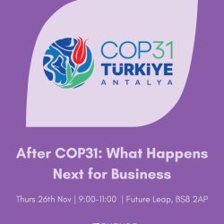 Purple event graphic promoting a business discussion on the outcomes of COP31, featuring the COP31 Türkiye Antalya logo.