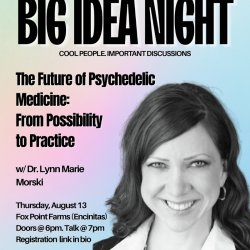 The Future of Psychedelic Medicine: From Possibility to Practice