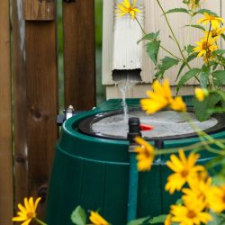 Low Impact Development + DIY Rain Barrels