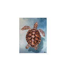 LowCountry Loggerhead