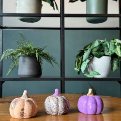 Ceramic Pumpkin Décor Workshop - Bostock Green