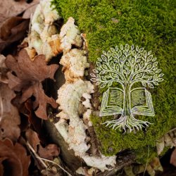 Lost Myths: Storytelling Evening