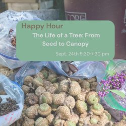B Local Happy Hour - The Life of a Tree: From Seed to Canopy