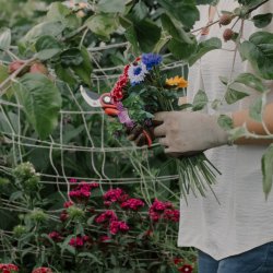Gather & Grow Gardening Sessions