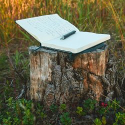 Writing History for Young People at Wrongs Covert