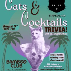 Cats & Cocktails Trivia Fundraiser