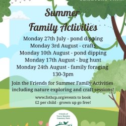 Summer Family Activities - pond dipping