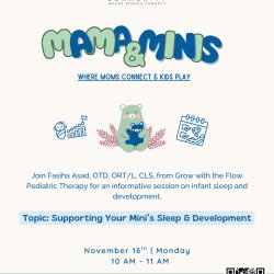 Mama & Minis: Supporting Your Mini's Sleep & Development