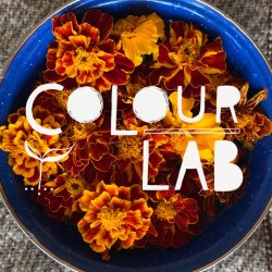 Colour Lab: Make Your Mark! - A Workshop for Children & Families