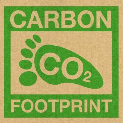 Carbon Footprint Awareness Workshop - 7th November 2026 - £80