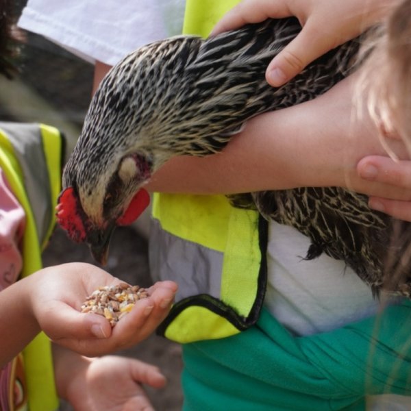 Friends of the Farm thank you event - for members only