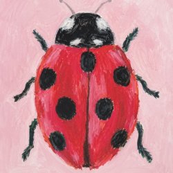 Bugs & Beetles