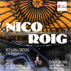 Nico Roig - Concierto en ZARAGOZA | PRE-GIRA 2026 "TÉCNICAS PARA DORMIR DE PIE" (15€)