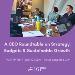 A CEO Roundtable on Strategy, Budgets and Sustainable Growth