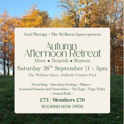 Autumn  Afternoon Retreat