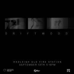 Driftwood - Private View