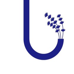 Meet Lavender Event - 邂逅薰衣草