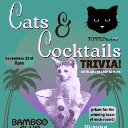 Cats & Cocktails Trivia Fundraiser