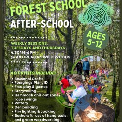 Collage of children involved in forest school activities