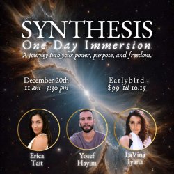 SYNTHESIS One-Day Immersion
