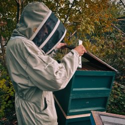 Bee-friendly Bee keeping: A Weekend Course