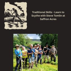 A Day  of Scything with Steve Tomlin