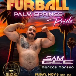FURBALL Palm Springs