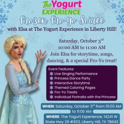 Frozen Fro-Yo Soiree