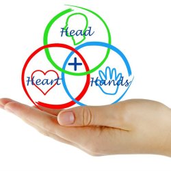 Social Pedagogy: Educating the Whole Child