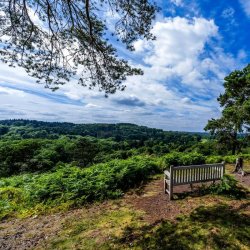 View of Lickey Hills