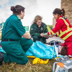OH ALS - Out of Hospital Advanced Life Support (RCUK)