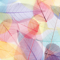 colourful leaf pattern