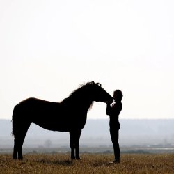 An Evening Talk With Dan Spencer BHSI - 'Learning Theory ﻿and Shaping Behaviour to Improve the Wellbeing of the Horse'