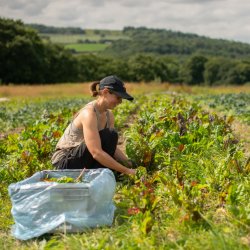 Farming the Future: Learning from a funder collaboration that funds collaboration