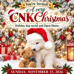 A Very CNK Christmas: Holiday Dog Social & Open House