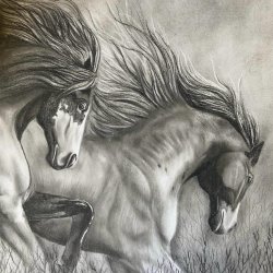Charcoal Drawing for Beginners with Shahnaz Alizadeh_T3_2026