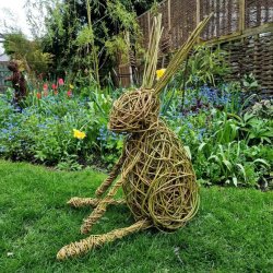 Willow Weaving - Hare