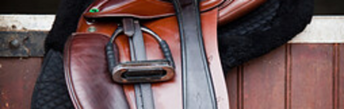 Inside the Saddlery Industry: Expo tour for Coaches