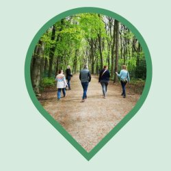 Netwalking