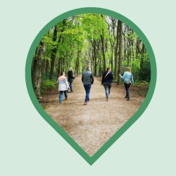 Netwalking
