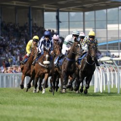 Racecourse Business Networking, Coffee and Connections