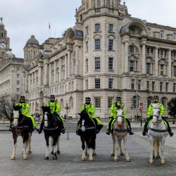 Behind the Scenes with Merseyside Mounted Police