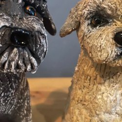 Pottery - Sculpt your own dog 🐶 Workshop