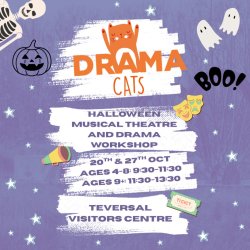 Drama cats