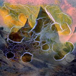 T55. Wild Emulsion: Film Soup & Colour Mordançage with Ella Morton