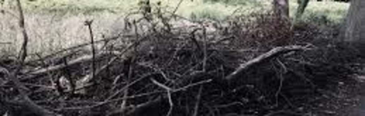Training on Deadhedging